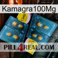 Kamagra100Mg cialis5